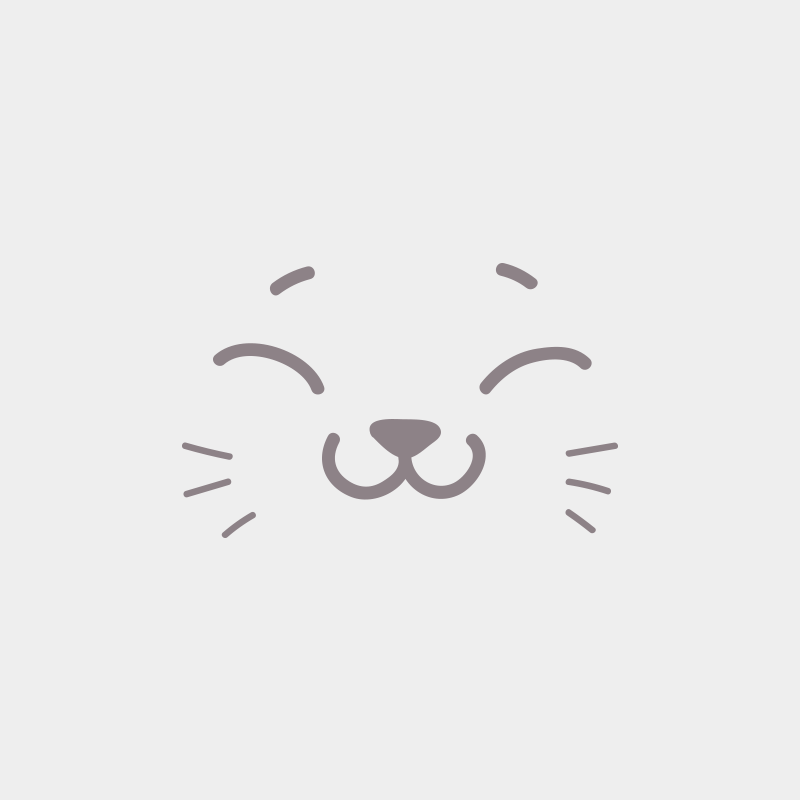 Betty Boop Des Gousses de Vanille Femelle Maine coon