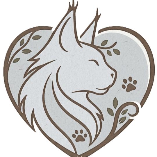 AM coeur